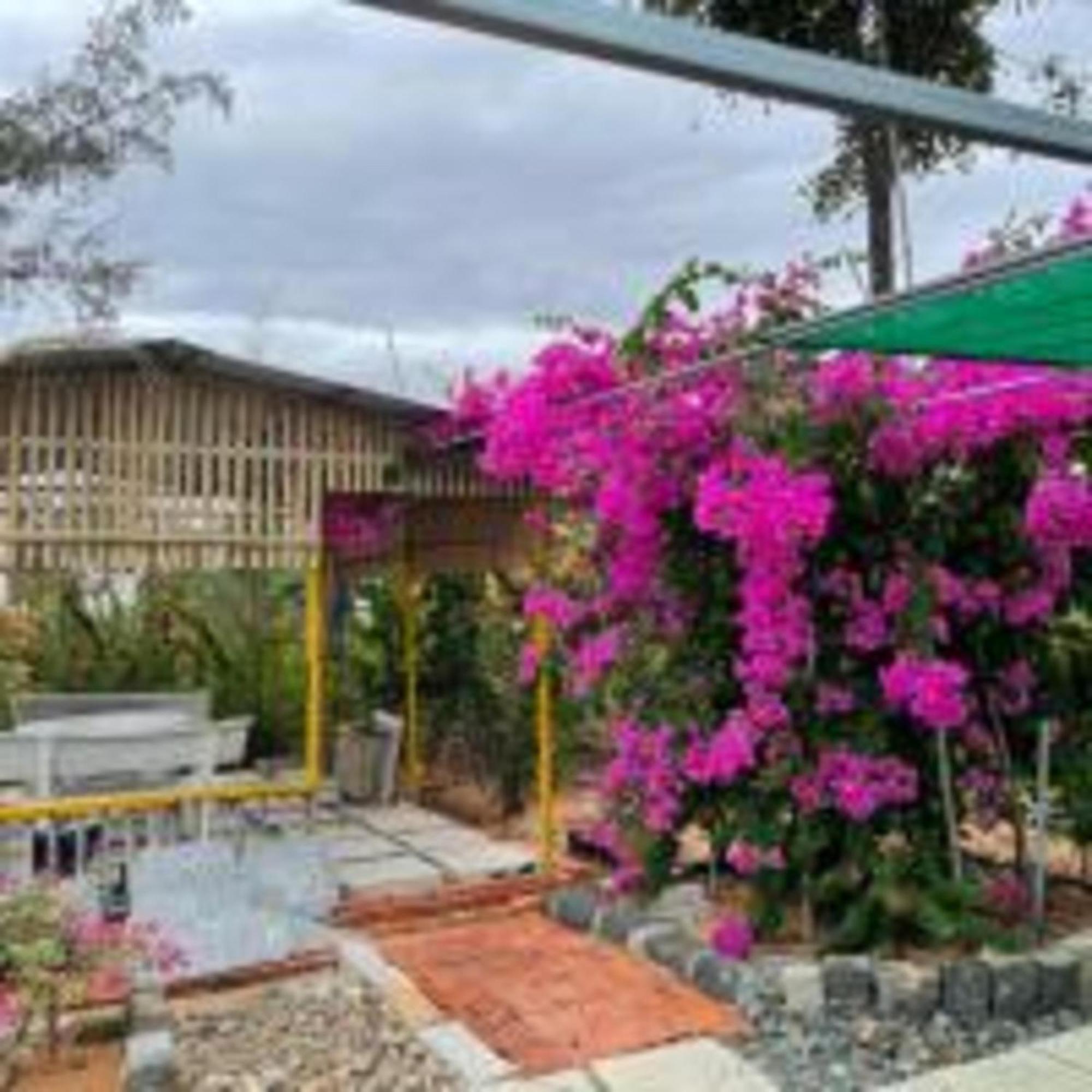 Duc Luu Quang Hotel Binh Thuan Tuy Phong المظهر الخارجي الصورة